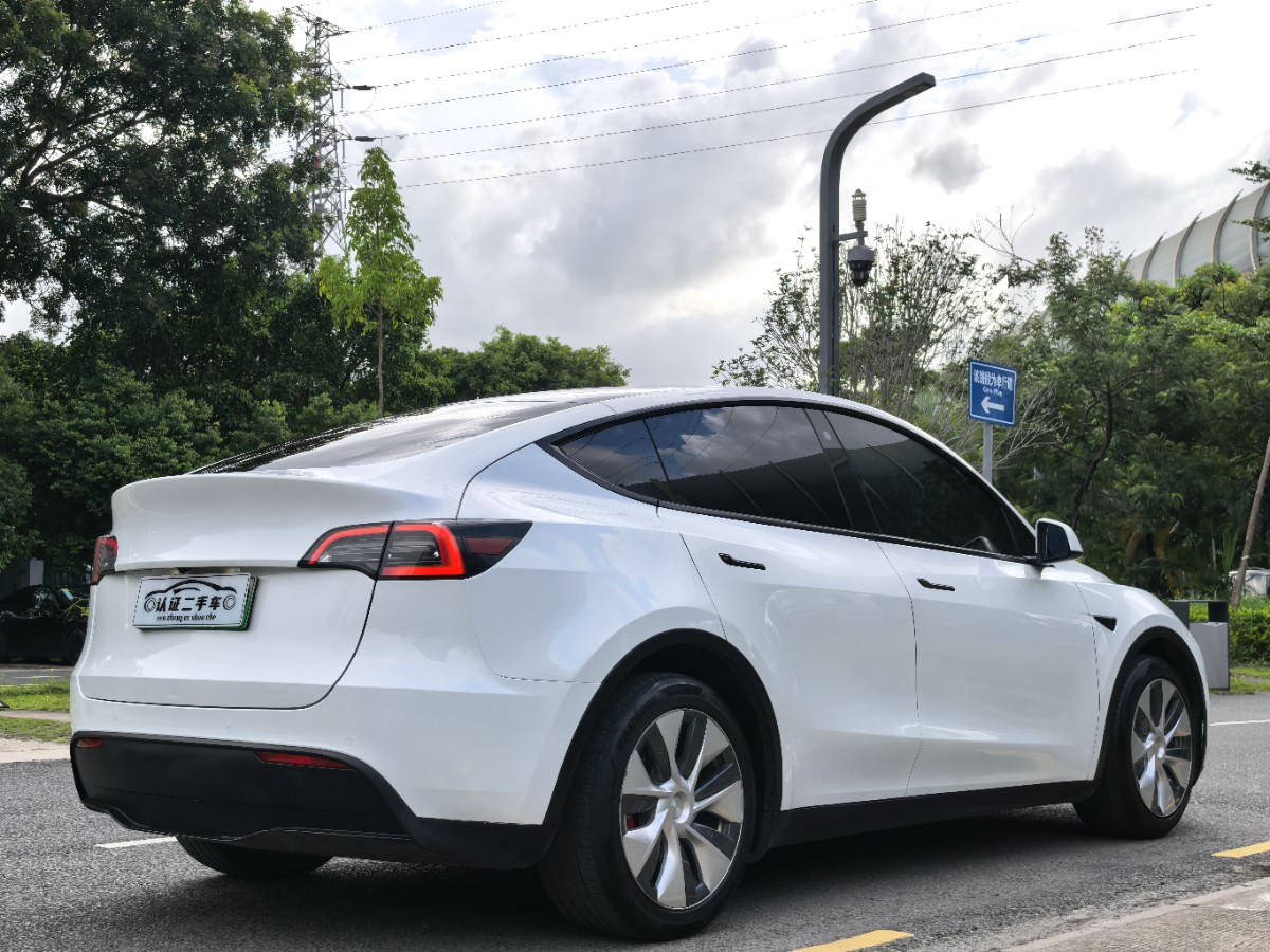 Tesla Model Y 2021 car image #10