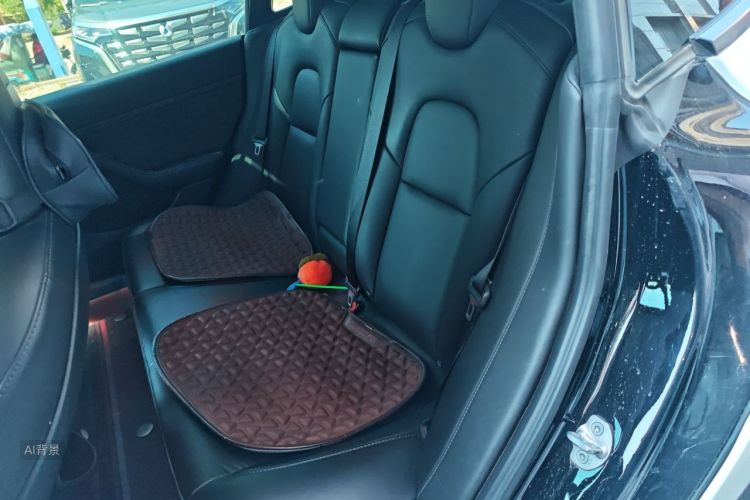 Tesla Model 3 2022 car image #19