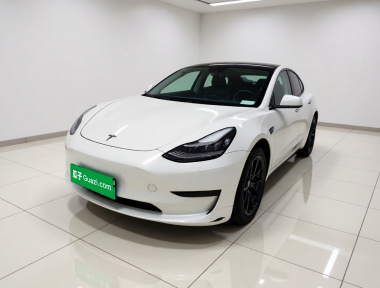 Tesla Model 3 2020 Tesla Model 3 2020 car image