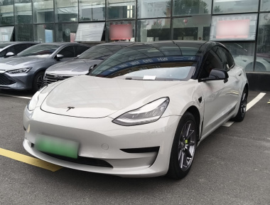 Tesla Model 3 2020 Tesla Model 3 2020 car image