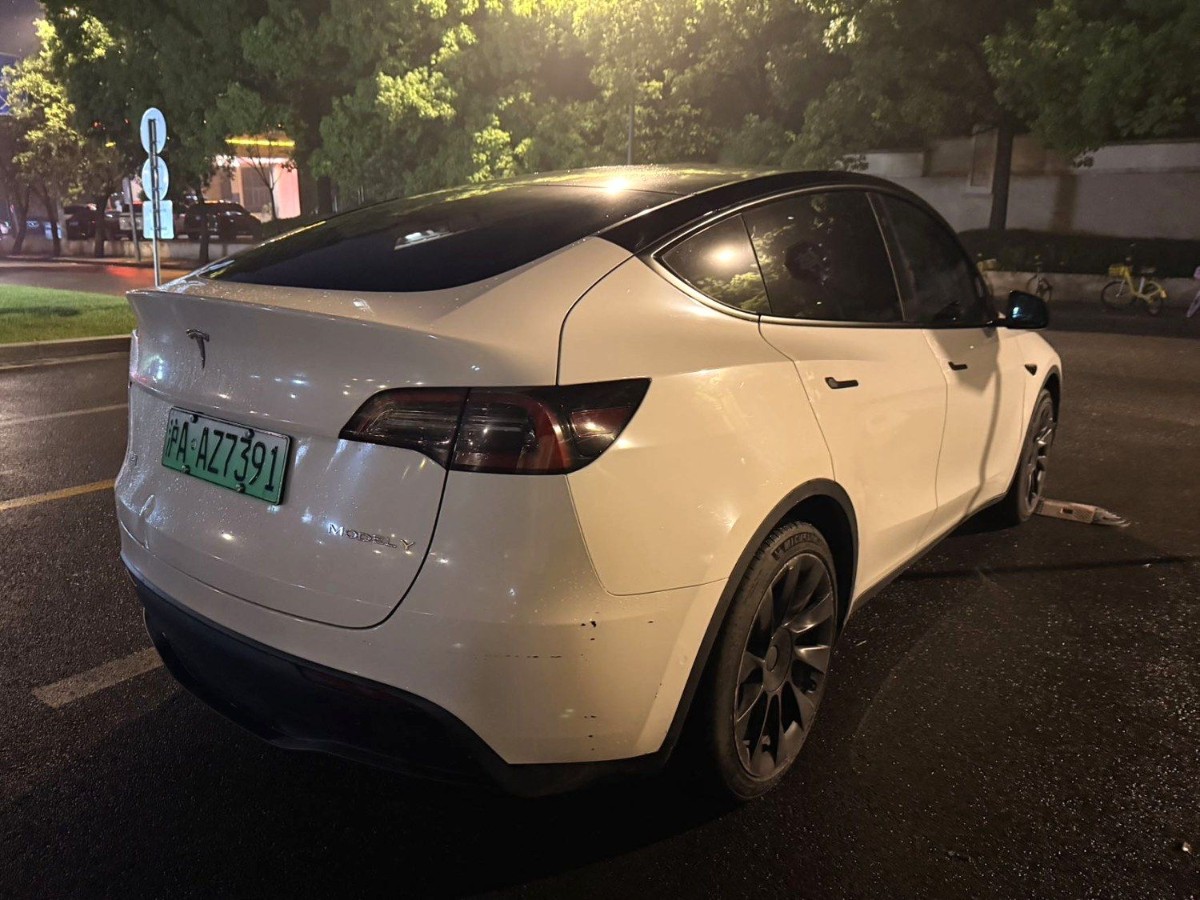 Tesla Model Y 2022 #2 Tesla Model Y 2022 car image #2