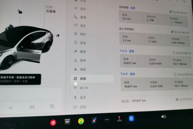 Tesla Model 3 2021 car image #12