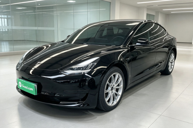 Tesla Model 3 2020 car image #2