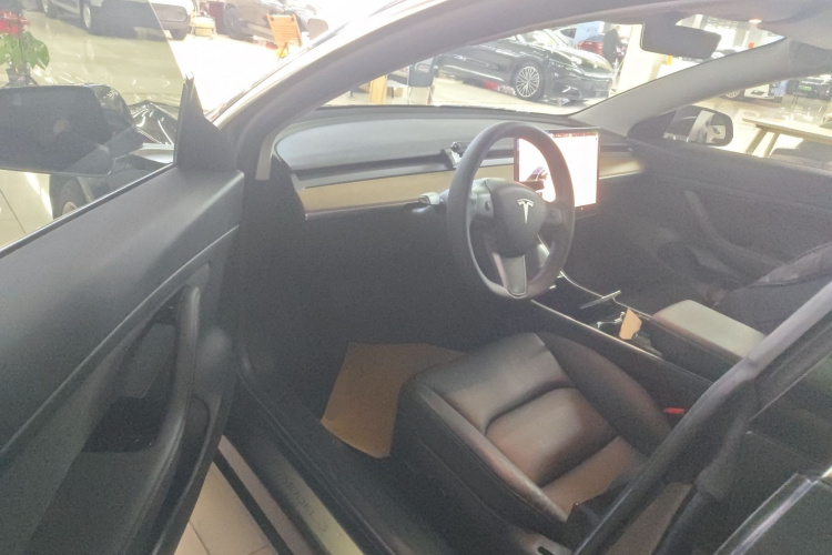 Tesla Model 3 2020 car image #16