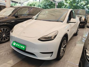 Tesla Model Y 2022 Tesla Model Y 2022 car image