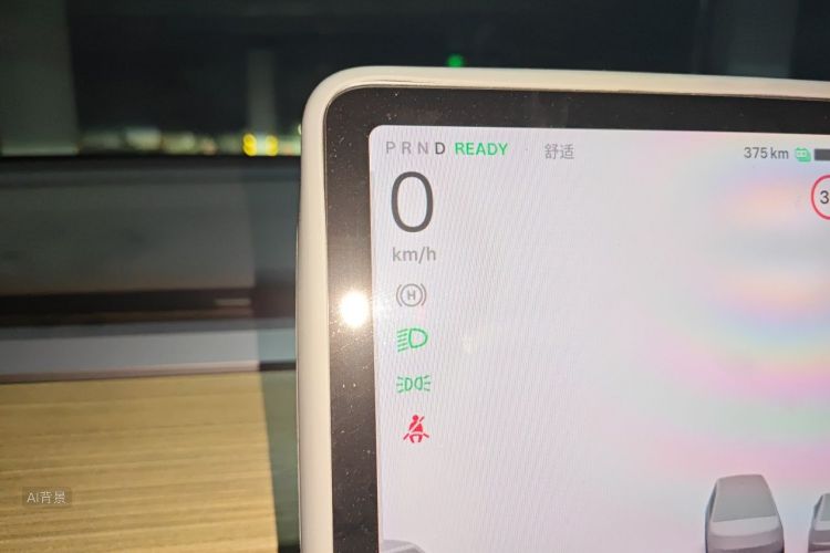 Tesla Model Y 2023 car image #13