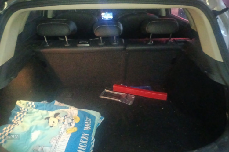 GEELY Emgrand GS 2019 car image #21