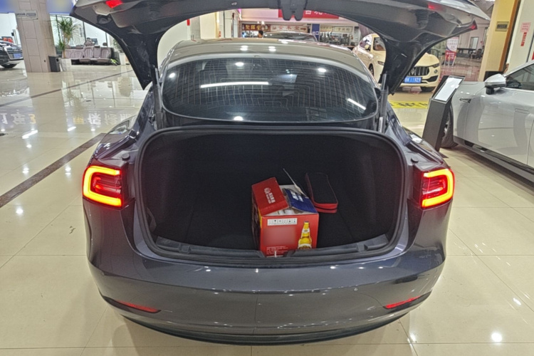 Tesla Model 3 2020 car image #19