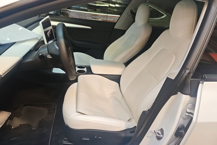 Tesla Model 3 2023 car image #15