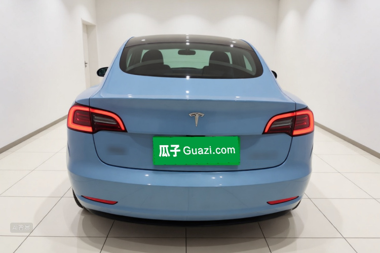 Tesla Model 3 2022 car image #6