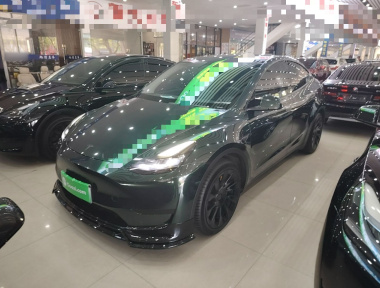 Tesla Model Y 2023 Tesla Model Y 2023 car image