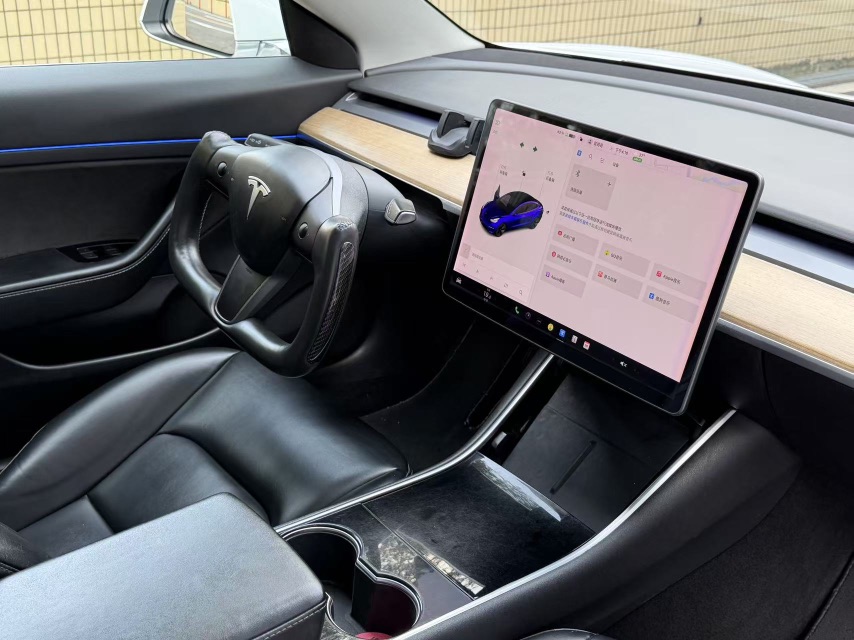Tesla Model 3 2020 #8 Tesla Model 3 2020 car image #8