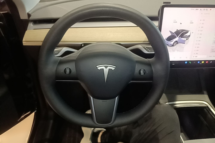 Tesla Model Y 2023 #11 Tesla Model Y 2023 car image #11