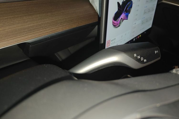 Tesla Model 3 2021 car image #14