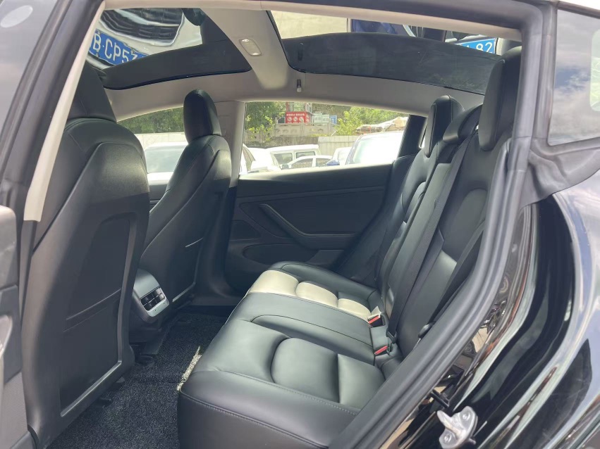 Tesla Model 3 2020 #9 Tesla Model 3 2020 car image #9