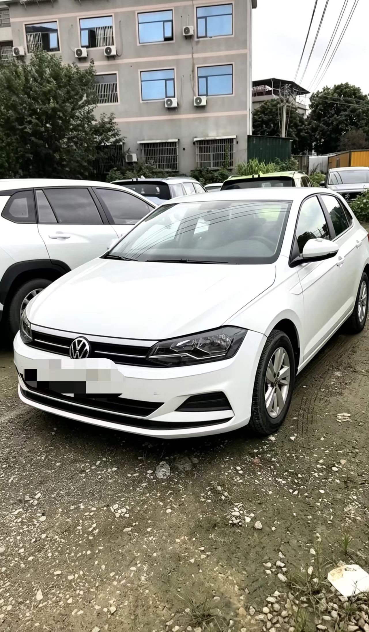 Volkswagen Polo 2023 Volkswagen Polo 2023 car image