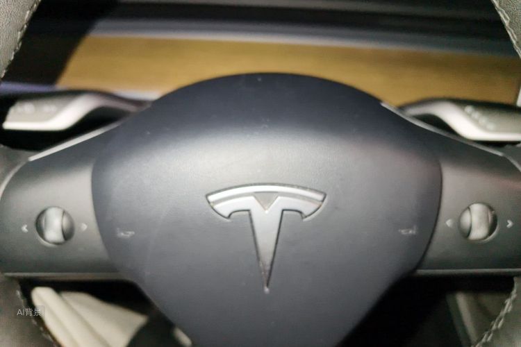 Tesla Model 3 2022 #13 Tesla Model 3 2022 car image #13