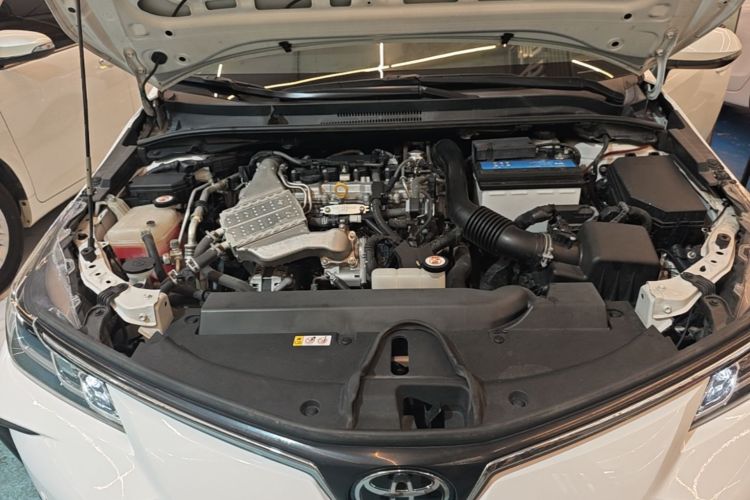 Toyota Corolla 2022 #19 Toyota Corolla 2022 car image #19