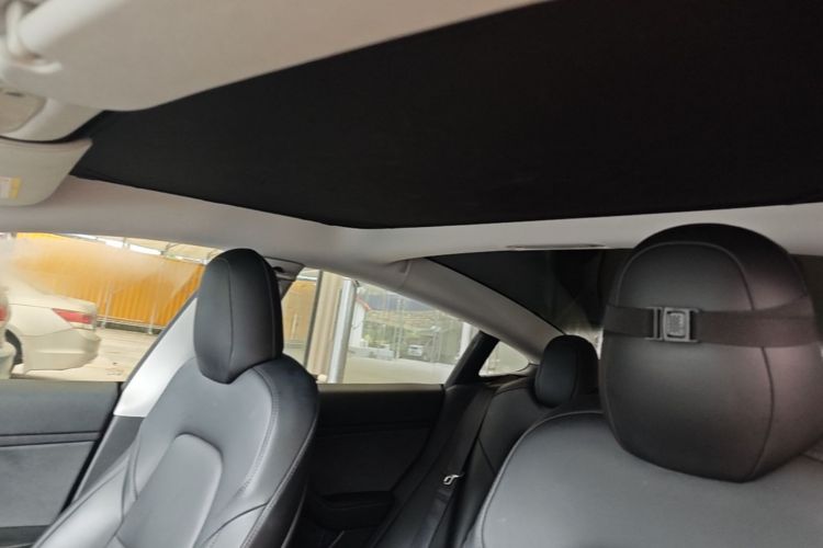 Tesla Model 3 2020 #18 Tesla Model 3 2020 car image #18