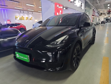 Tesla Model Y 2022 Tesla Model Y 2022 car image