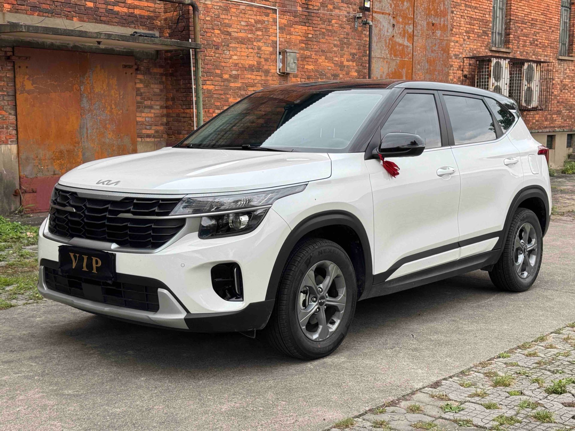 Kia Seltos 2025 car image 