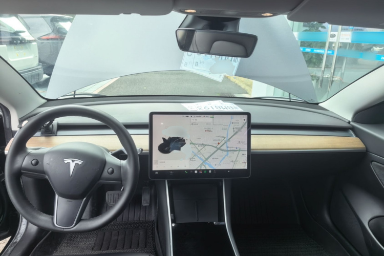 Tesla Model 3 2020 immagine di auto #11