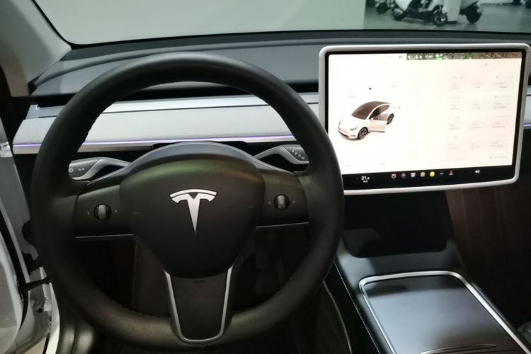 Tesla Model Y 2024 #10 Tesla Model Y 2024 car image #10