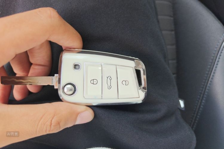 Volkswagen Lavida 2020 car image #10