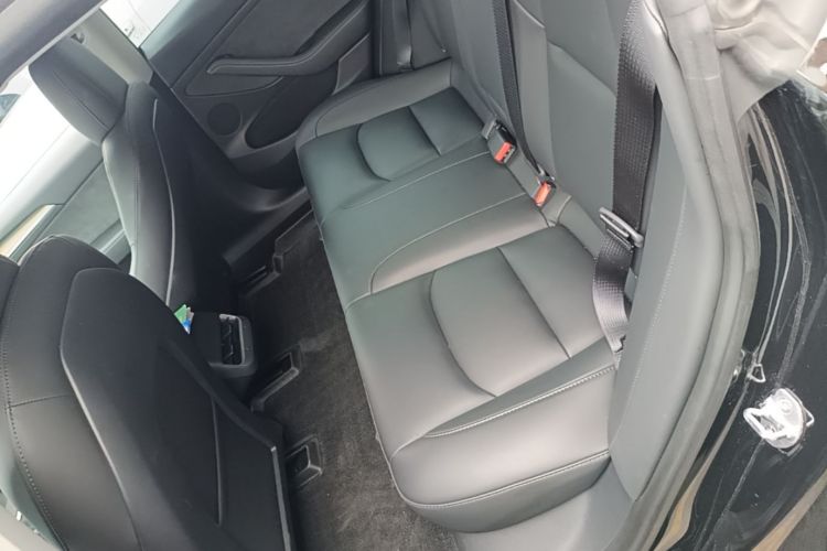 Tesla Model 3 2023 car image #17