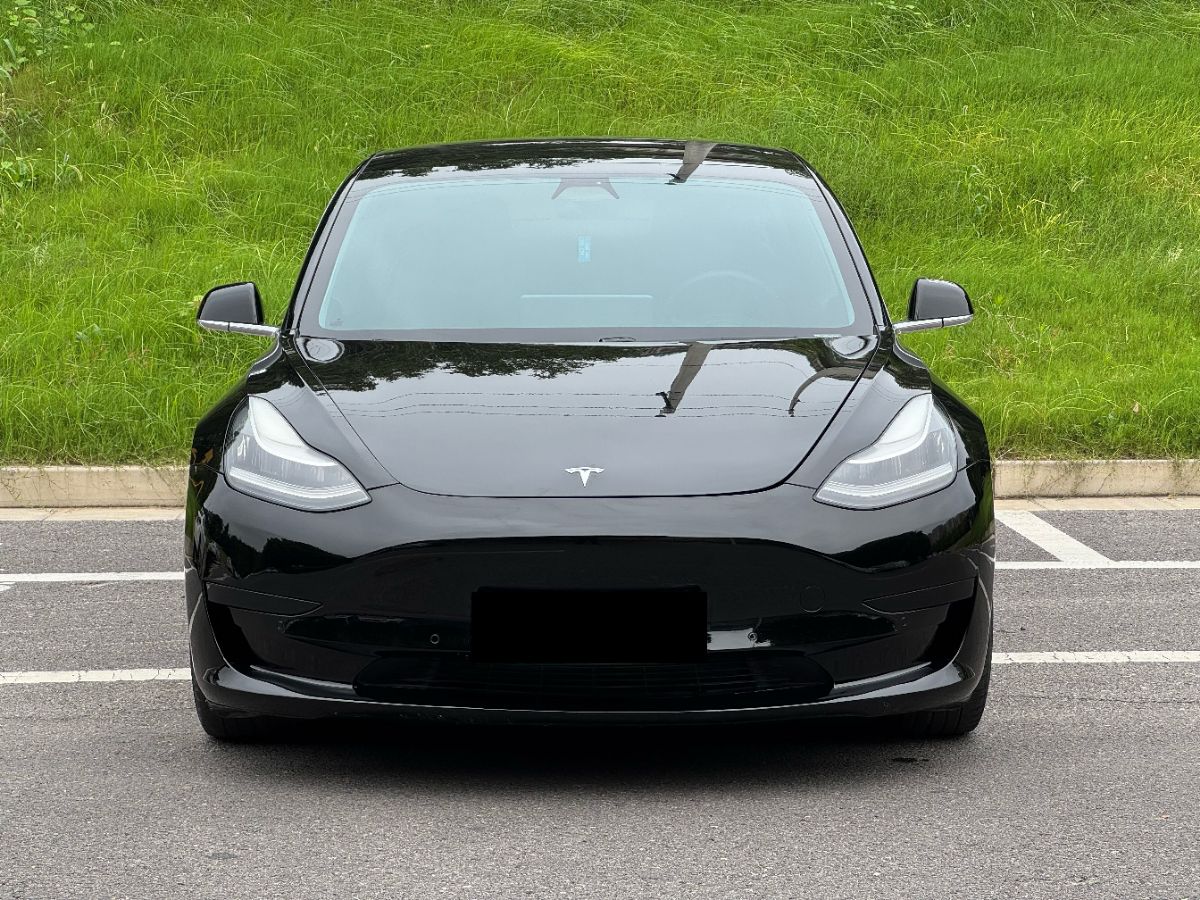 Tesla Model 3 2021 #2 Tesla Model 3 2021 car image #2