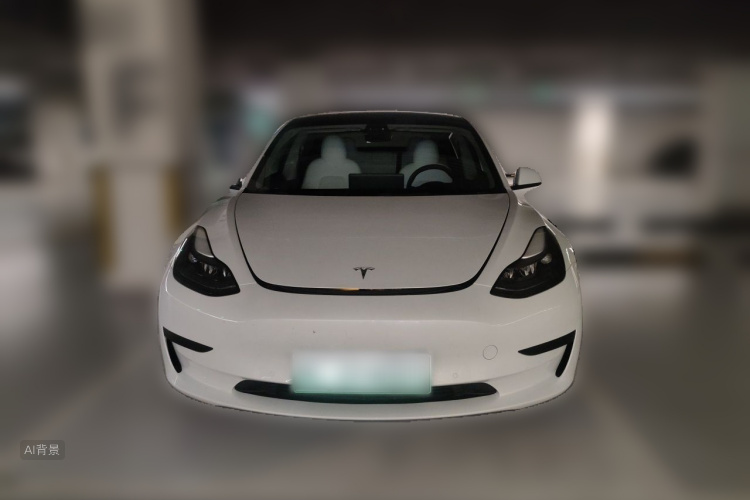 Tesla Model 3 2023 car image #3