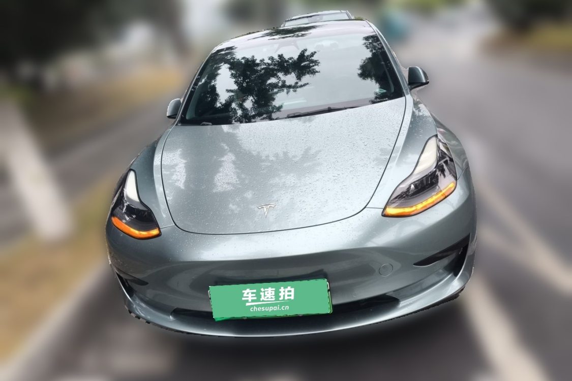 Tesla Model 3 2021 #5 Tesla Model 3 2021 car image #5