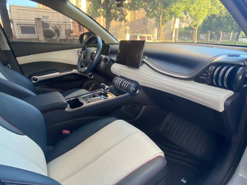 BYD Yuan Plus 2022 imagen de coche #8