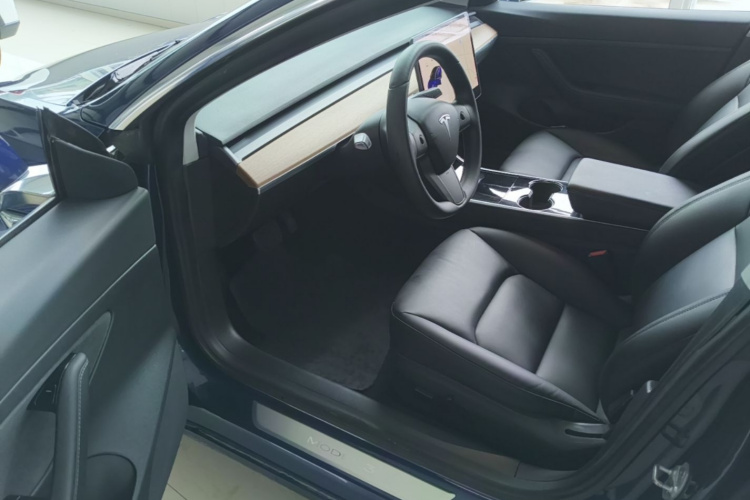 Tesla Model 3 2020 car image #16