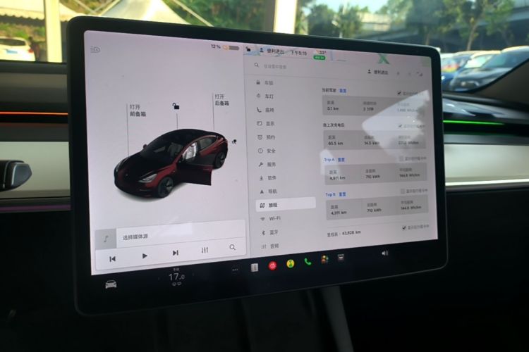 Tesla Model 3 2021 immagine di auto #12