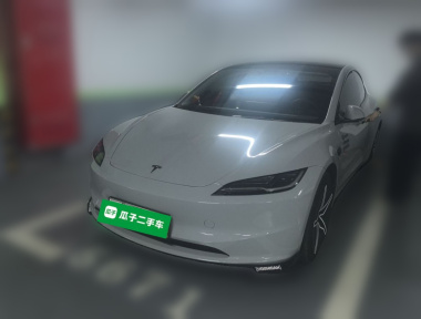 Tesla Model 3 2024 car image 