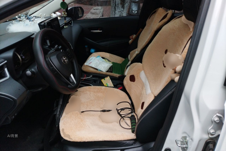 Toyota Corolla 2021 car image #17