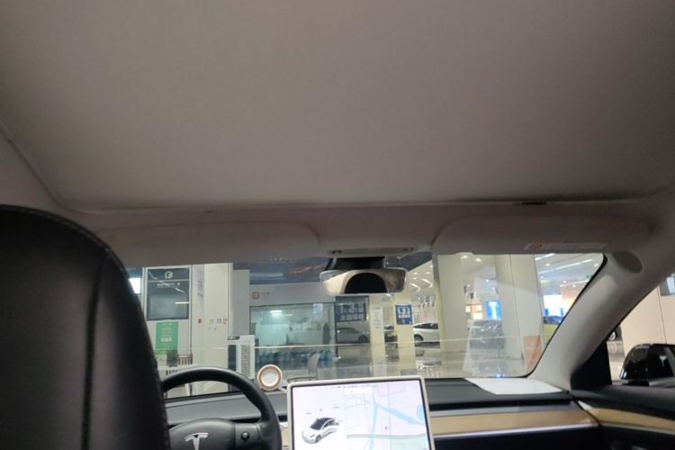 Tesla Model 3 2021 immagine di auto #18