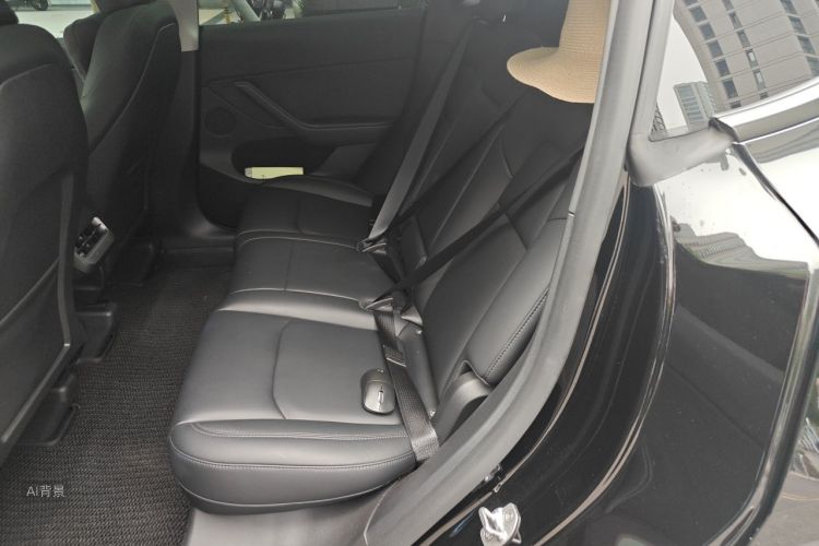 Tesla Model Y 2023 car image #19