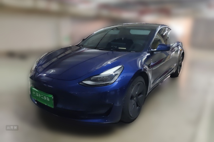 Tesla Model 3 2021 #2 Tesla Model 3 2021 car image #2