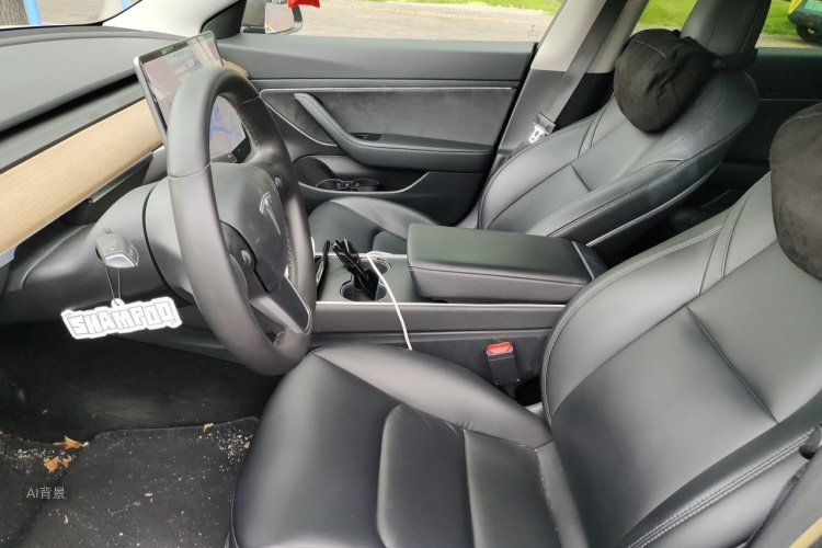 Tesla Model 3 2020 car image #17