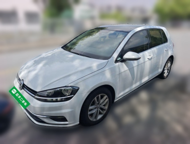 Volkswagen Golf 2019 Volkswagen Golf 2019 car image