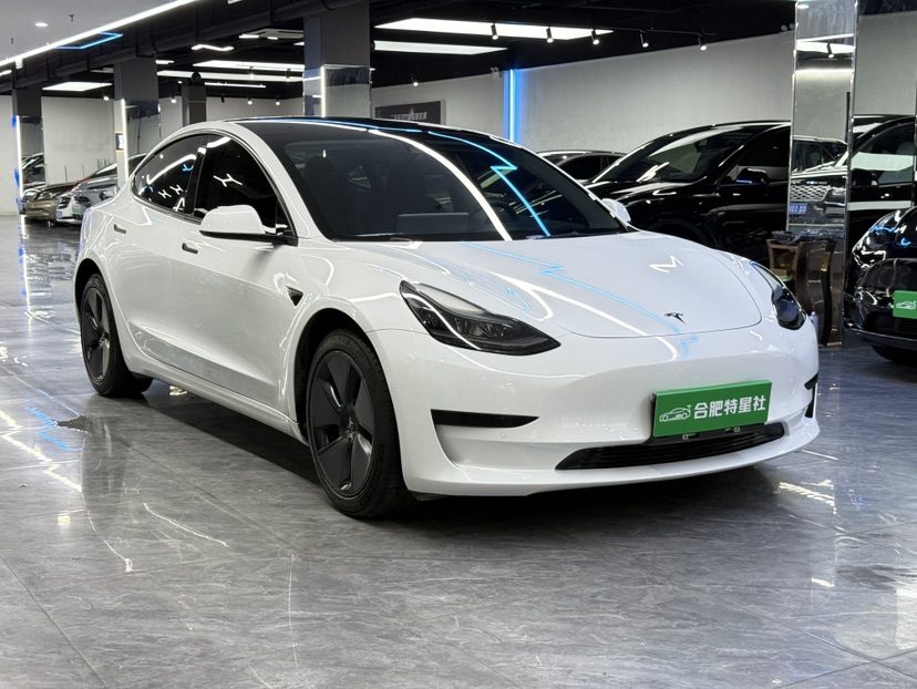 Tesla Model 3 2022 #2 Tesla Model 3 2022 immagine di auto #2