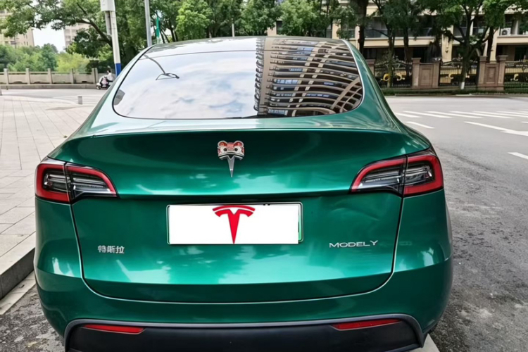 Tesla Model Y 2021 car image #9