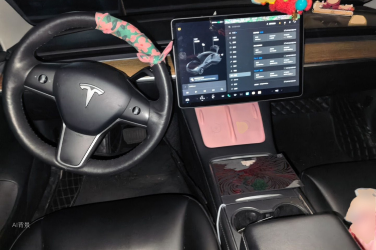 Tesla Model 3 2021 immagine di auto #11