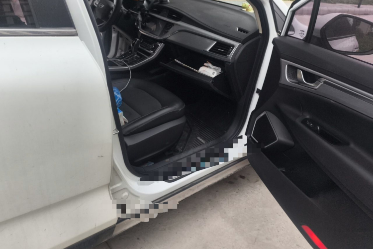GEELY Emgrand GS 2019 #21 GEELY Emgrand GS 2019 car image #21