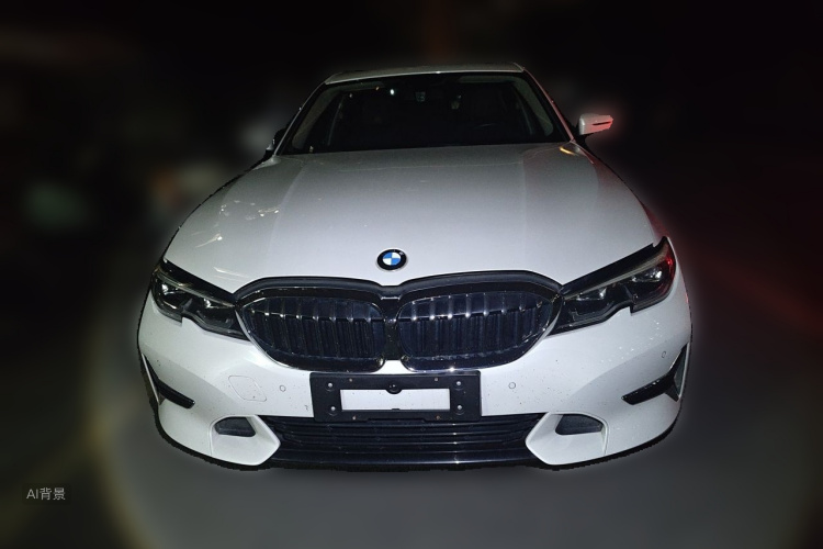 BMW 3 Series 2019 #3 BMW 3 Series 2019 car image #3