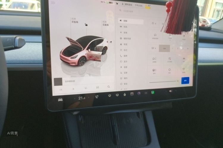 Tesla Model Y 2024 car image #13