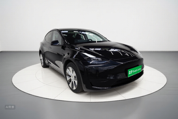 Tesla Model Y 2023 #4 Tesla Model Y 2023 car image #4