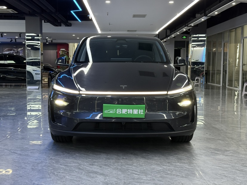 Tesla Model Y 2025 car image #2